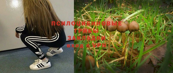 дурь Алексеевка