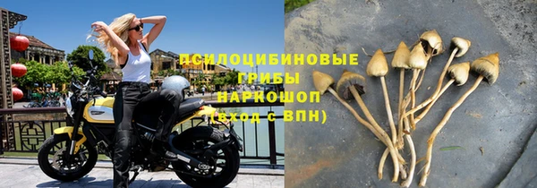 экстази Алексин